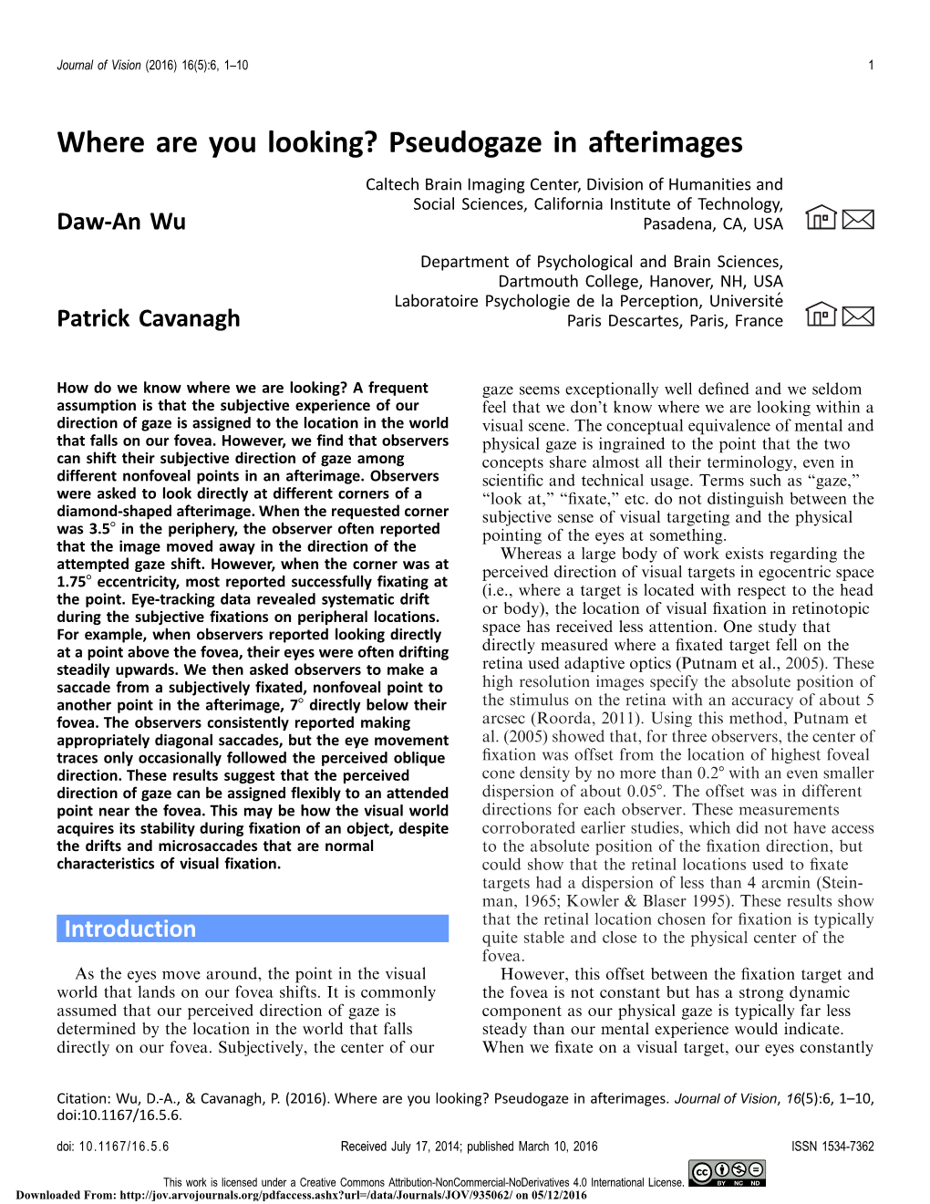 Pseudogaze in Afterimages