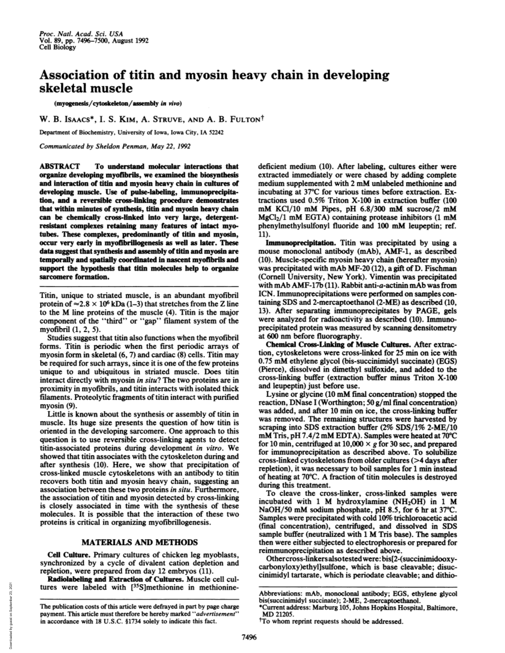 Association of Titin and Myosin Heavy Chain in Developing Skeletal Muscle (Myogenesis/Cytoskeleton/Assembly in Vvo) W