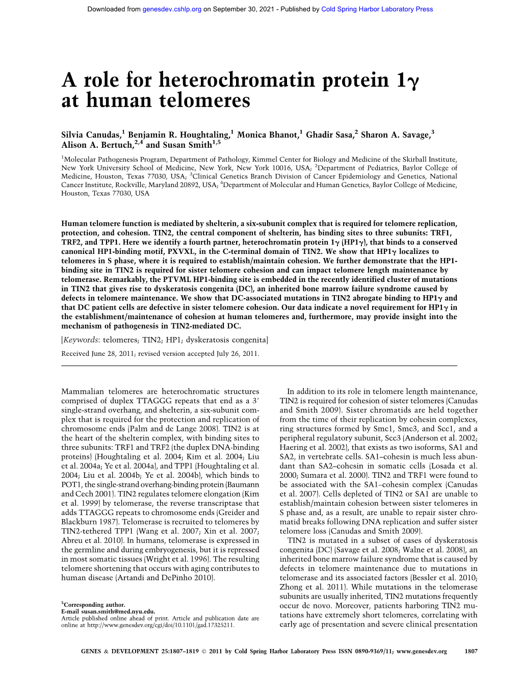 A Role for Heterochromatin Protein 1G at Human Telomeres