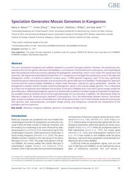 Speciation Generates Mosaic Genomes in Kangaroos