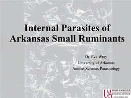 Internal Parasites of Arkansas Small Ruminants
