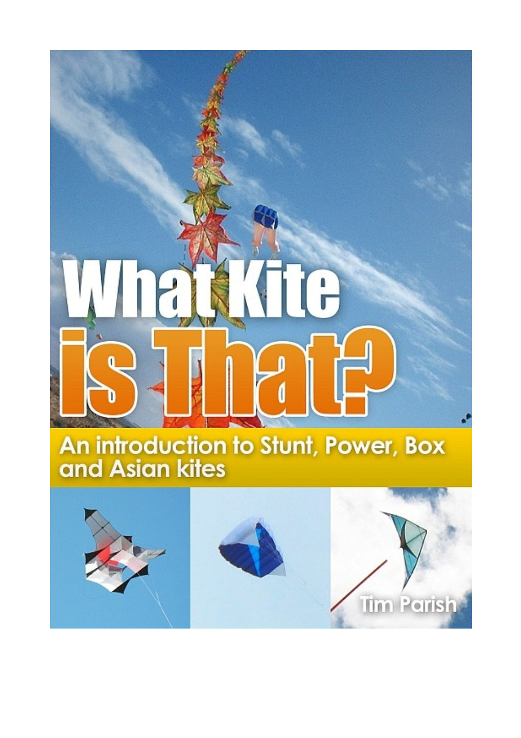 Types of Stunt Kites