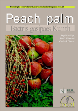 Peach Palmpalm Bactris Gasipaes Kunth Jorge Mora-Urpí, John C