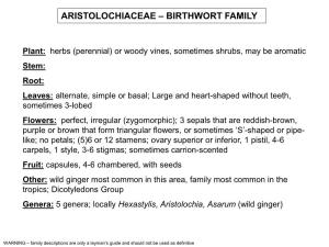 Aristolochiaceae – Birthwort Family