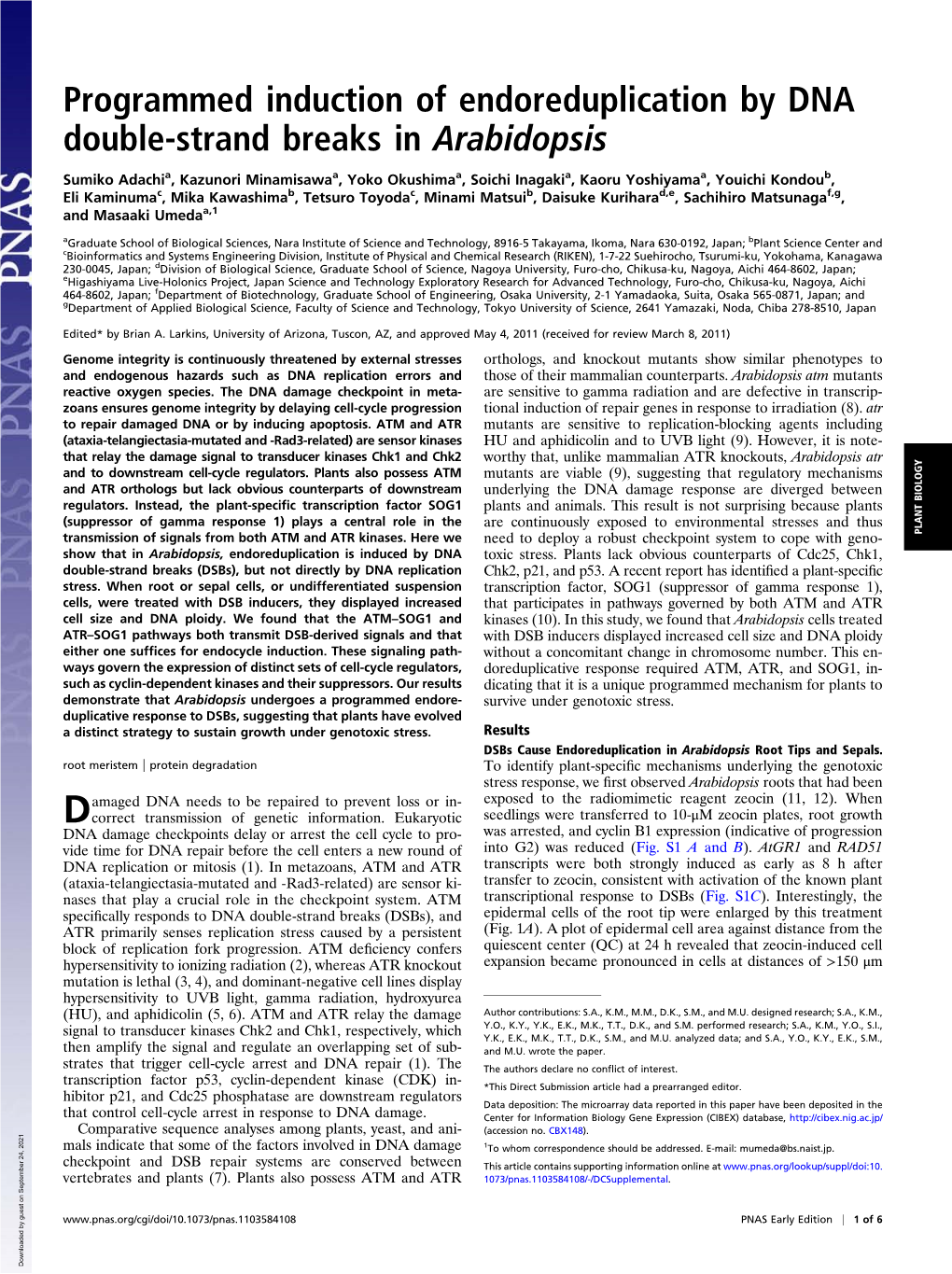 Programmed Induction of Endoreduplication by DNA Double-Strand Breaks in Arabidopsis