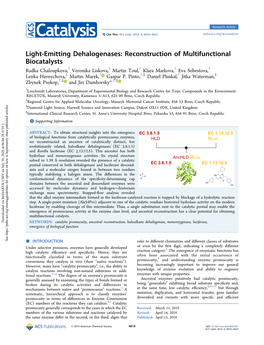 Light-Emitting Dehalogenases