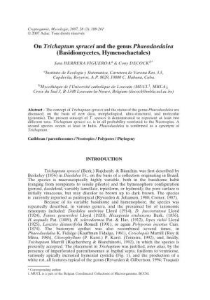 On Trichaptum Sprucei and the Genus Phaeodaedalea (Basidiomycetes,Hymenochaetales)