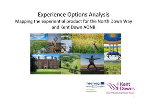 Experience Options Analysis Mapping the Experiential Product for the North Down Way and Kent Down AONB