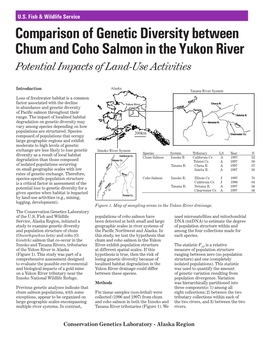 Comparison of Genetic Diversity Between Chum and Coho Salmon in the Yukon River Potential Impacts of Land-Use Activities