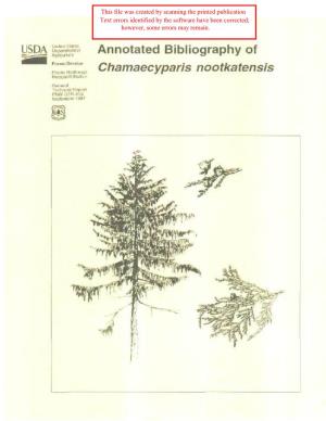 Chamaecyparis Nootkatensis