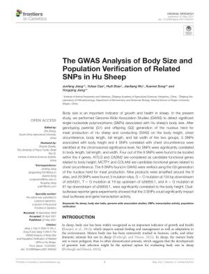 The GWAS Analysis of Body Size and Population Verification of Related