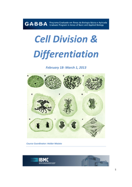 Cell Division & Differentiation