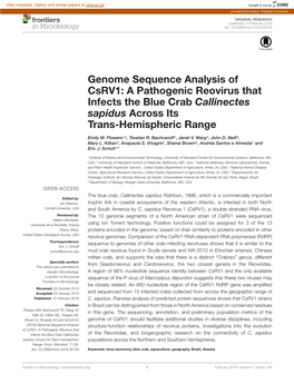 Genome Sequence Analysis of Csrv1: a Pathogenic Reovirus That Infects the Blue Crab Callinectes Sapidus Across Its Trans-Hemispheric Range