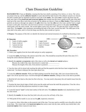 Clam Dissection Guideline
