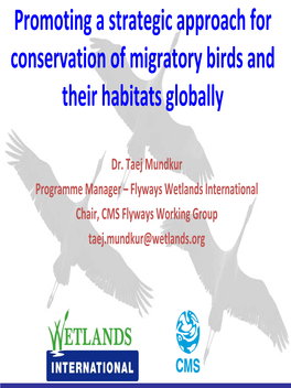 Flyways Wetlands International Chair, CMS Flyways Working Group Taej.Mundkur@Wetlands.Org Contents