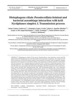 Histophagous Ciliate Pseudocollinia Brintoni and Bacterial Assemblage Interaction with Krill Nyctiphanes Simplex. I. Transmission Process