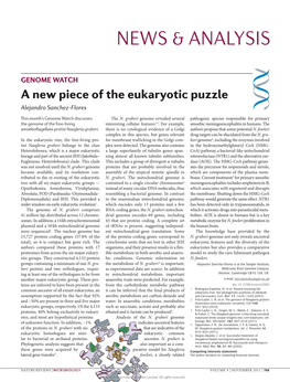 A New Piece of the Eukaryotic Puzzle Alejandro Sanchez-Flores