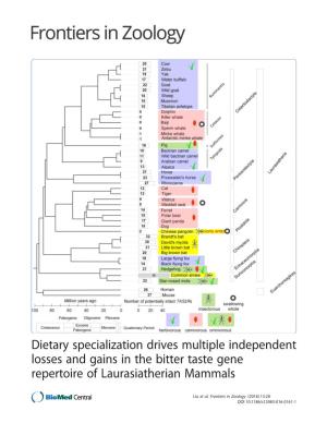 Dietary Specialization Drives Multiple Independent Losses and Gains in the Bitter Taste Gene Repertoire of Laurasiatherian Mammals