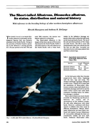 The Short-Tailed Albatross, &lt;I&gt;Diomedea Albatrus&lt;/I&gt;, Its Status