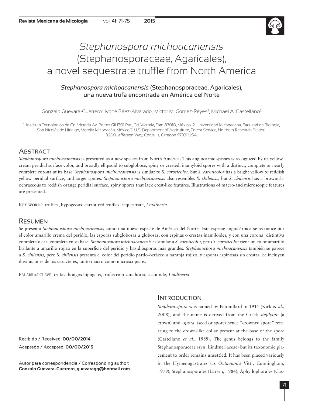 Stephanospora Michoacanensis (Stephanosporaceae, Agaricales), a Novel Sequestrate Truffle from North America