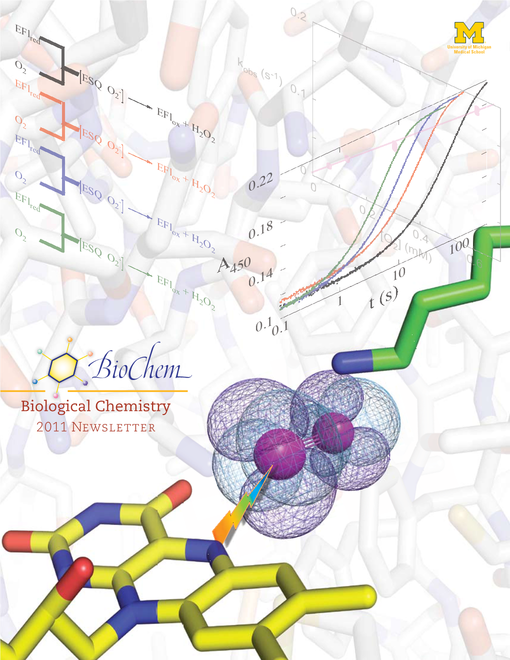 Biological Chemistry 2011 Newsletter a Letter from the Chair : Dr