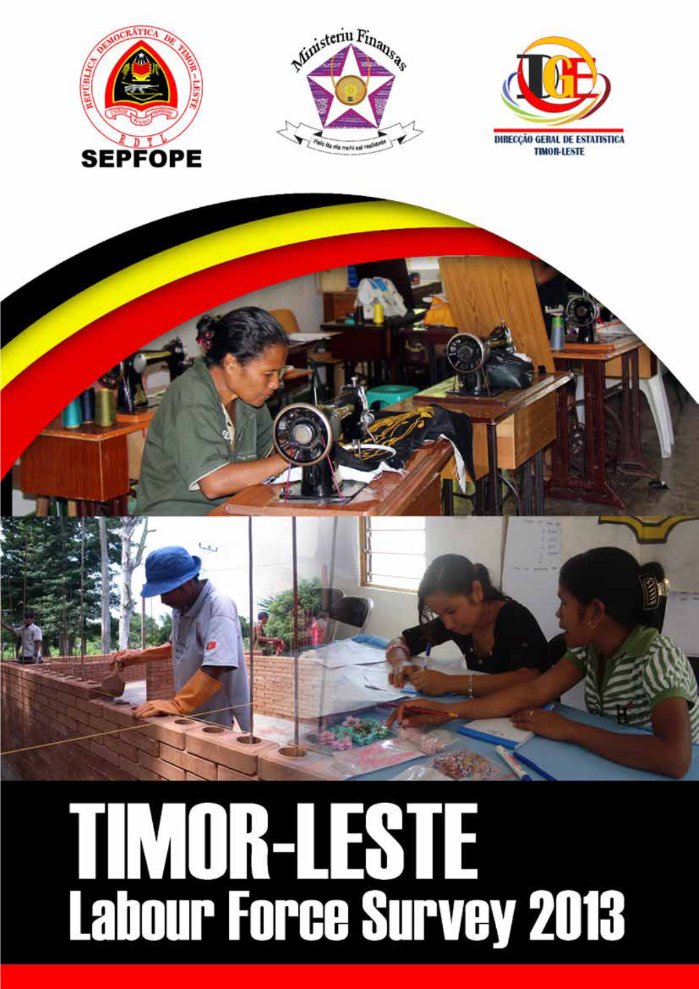 Timor-Leste Labour Force Survey 2013Pdf