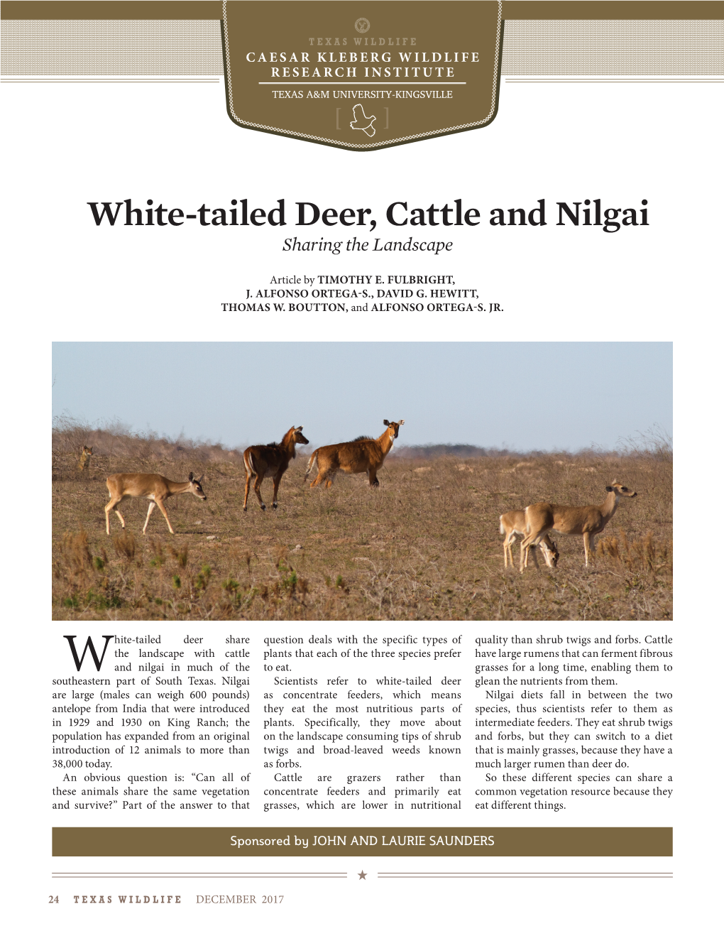 White-Tailed Deer, Cattle and Nilgai Sharing the Landscape