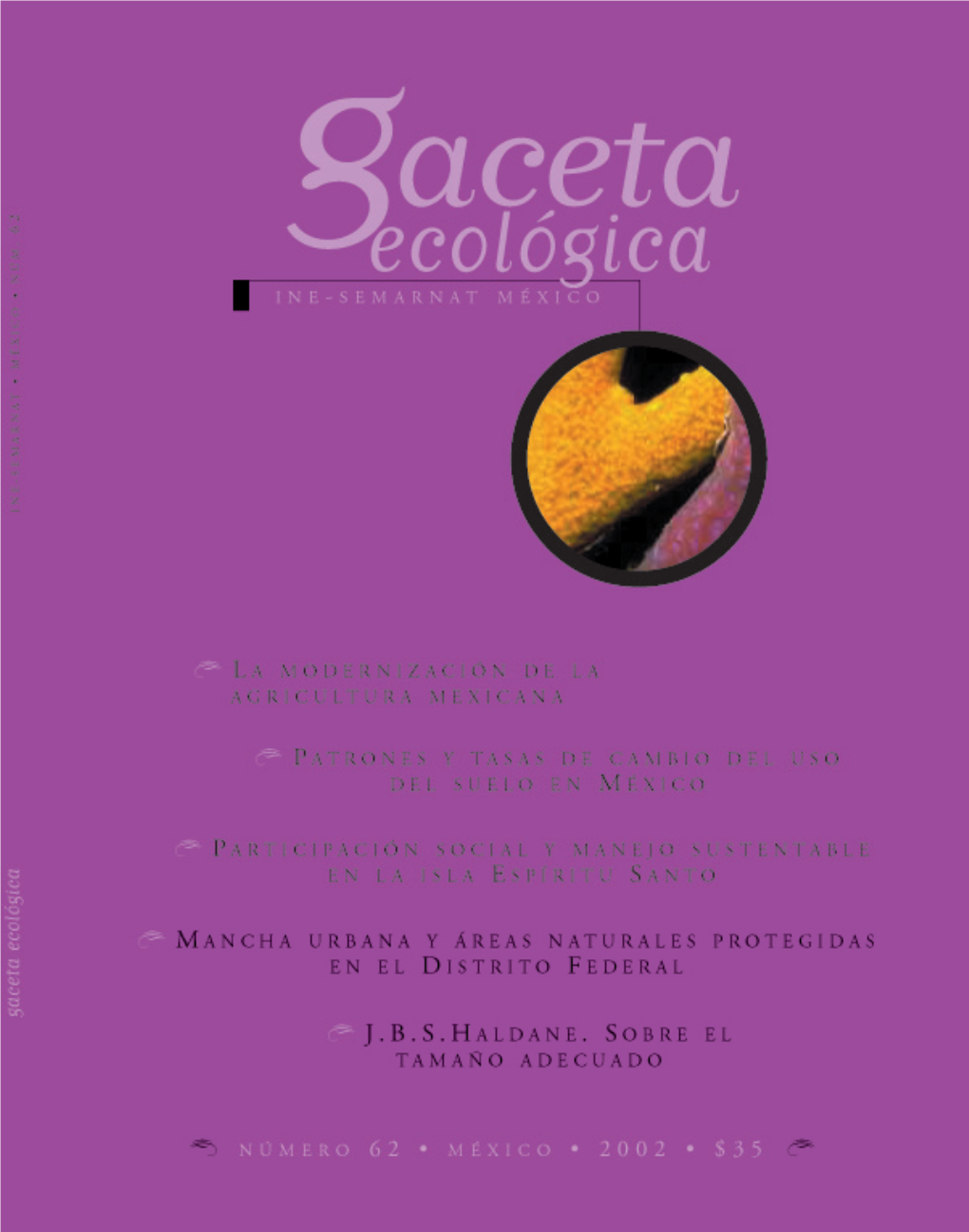 Gaceta Ecológica 62