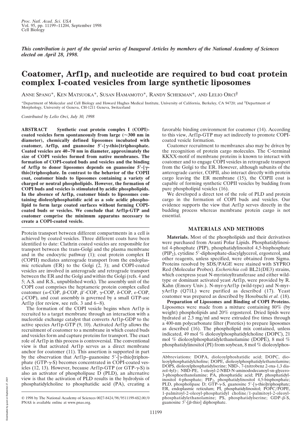 Coatomer, Arf1p, and Nucleotide Are Required to Bud Coat Protein Complex I-Coated Vesicles from Large Synthetic Liposomes