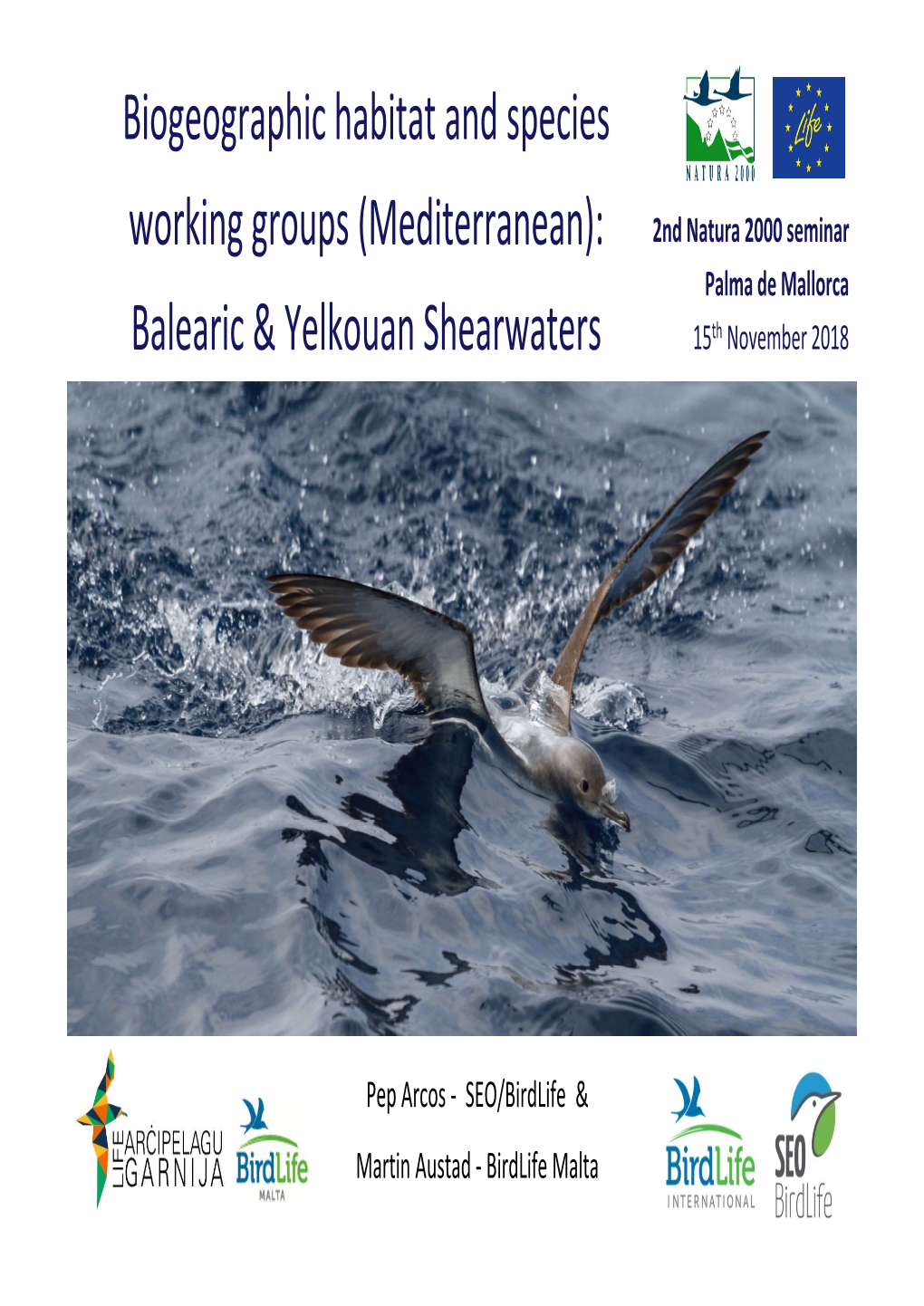 Balearic & Yelkouan Shearwaters