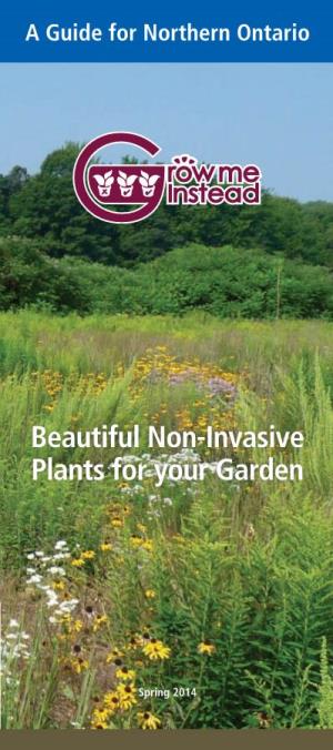 Beautiful Non-Invasive Plants for Your Garden, a Guide for Northern Ontario