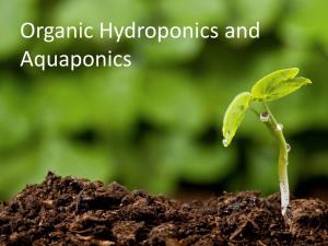 Organic Hydroponics and Aquaponics Organic Hydroponics and Aquaponics
