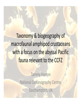 Taxonomy & Biogeography of Macrofaunal Amphipod Crustaceans