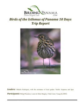 Birds of the Isthmus of Panama 10 Days Trip Report