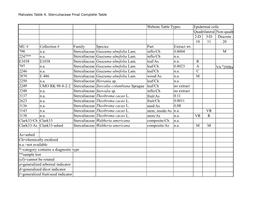 Table 4 Sterculiaceae Copy