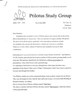 Ptilotus Study Group