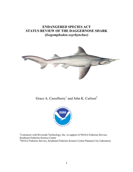 ENDANGERED SPECIES ACT STATUS REVIEW of the DAGGERNOSE SHARK (Isogomphodon Oxyrhynchus)