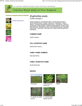 Euphorbia Esula