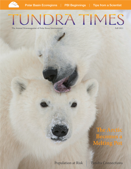 Tundra Times 2011