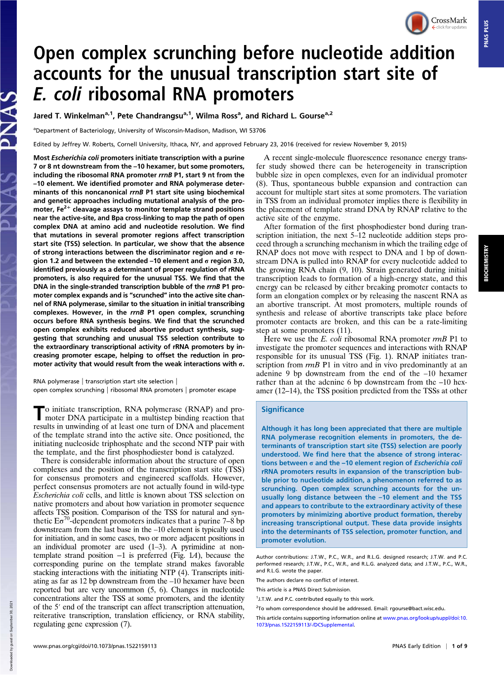 Open Complex Scrunching Before Nucleotide Addition Accounts for The