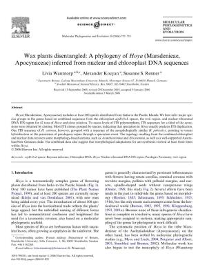 Wax Plants Disentangled: a Phylogeny of Hoya (Marsdenieae, Apocynaceae) Inferred from Nuclear and Chloroplast DNA Sequences