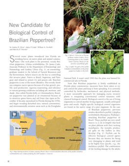 New Candidate for Biological Control of Brazilian Peppertree?