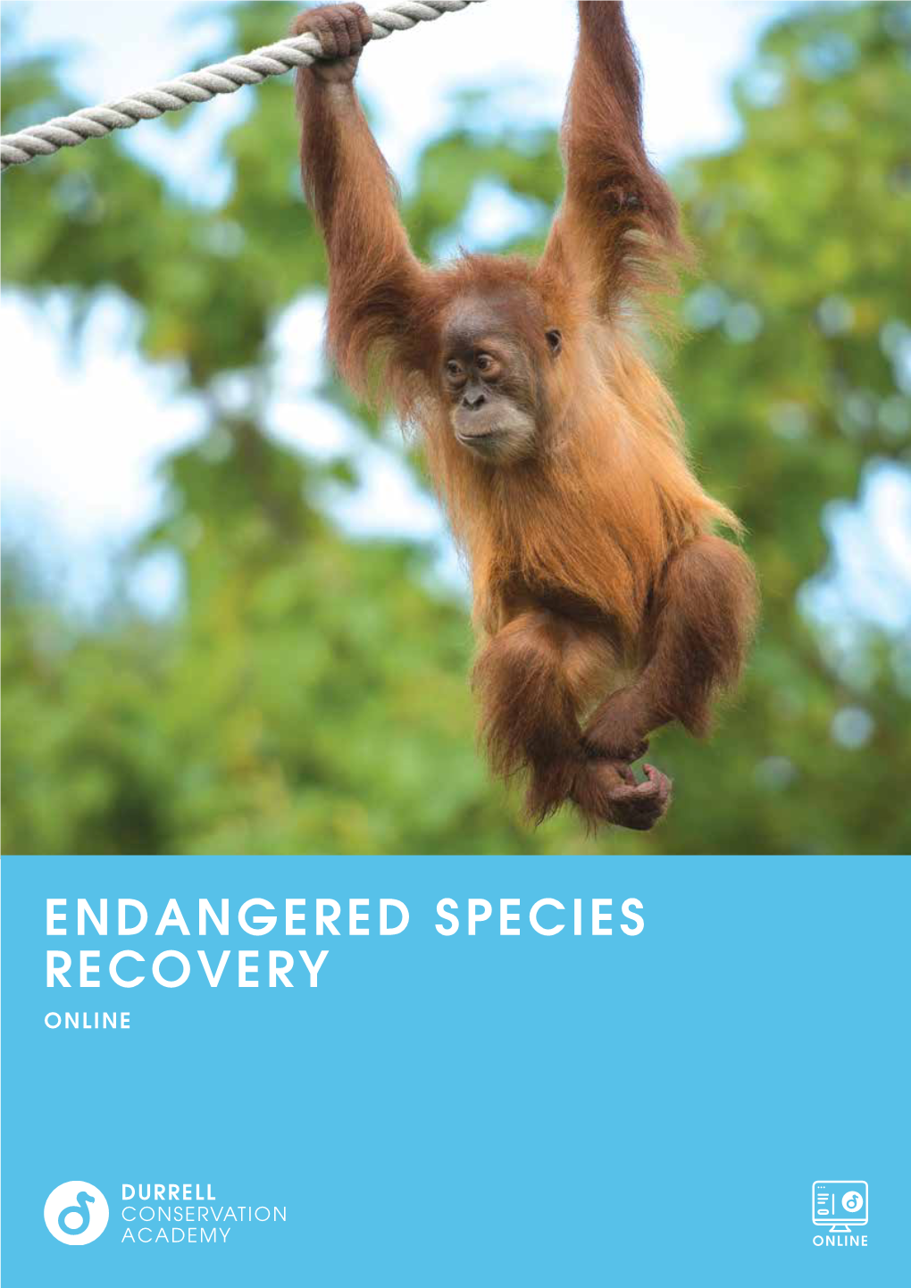 Endangered Species Recovery Online
