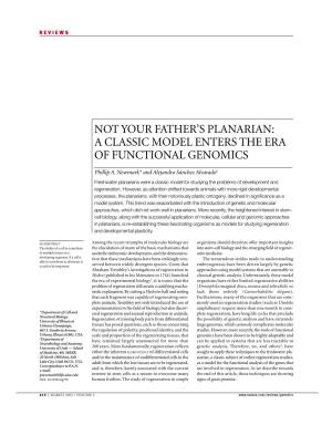 Not Your Father's Planarian: a Classic Model Enters The