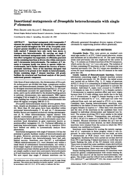 Insertional Mutagenesis of Drosophila Heterochromatin with Single P Elements