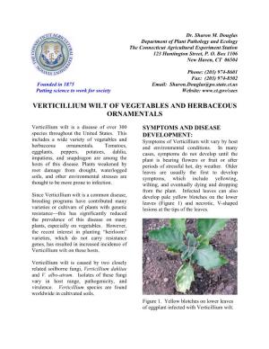 Verticillium Wilt of Vegetables and Herbaceous Ornamentals