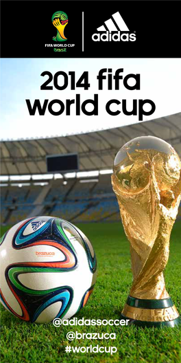 2014 Fifa World Cup