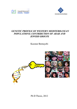 Genetic Profile of Western Mediterranean Populations: Contribution of Arab and Jewish Groups