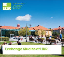 Exchange Studies at HKR