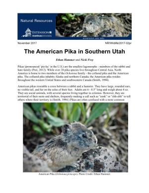 The American Pika in Southern Utah